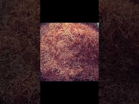 Natural Kashmiri Saffron