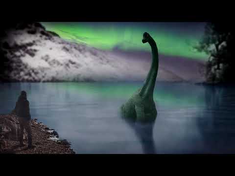 Delto x Żłobek - Nessi