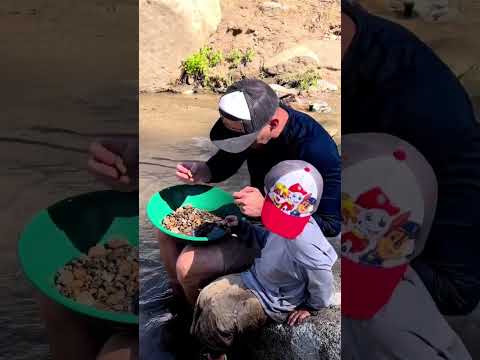 Can we Discover Gold in the Santa Ana River? #goldprospecting  #californiagold  #sluicebox