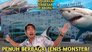 Download lagu THE FIRST TIME I ENTER THE LARGEST AQUARIUM IN EUROPE mp3