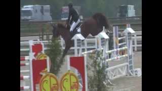 Video od Halifax van het Kluizebos