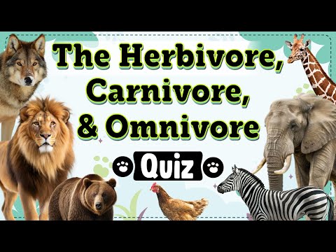 Herbivore, Carnivore, or Omnivore Quiz | Plant Eater, Meat Eater, or Both? | Animal Diets Uncovered