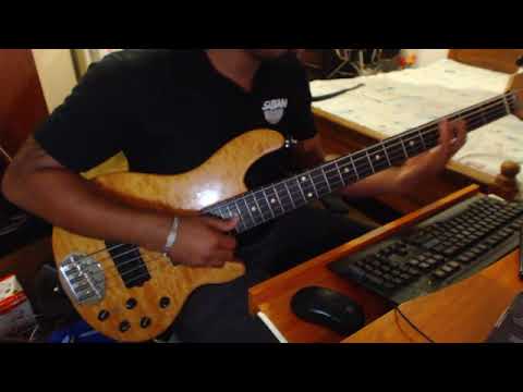 Lakland Skyline Deluxe 55-02 Bass Review