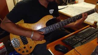 Video thumbnail for Lakland Skyline Deluxe 55-02 Bass Review by Hashanbass