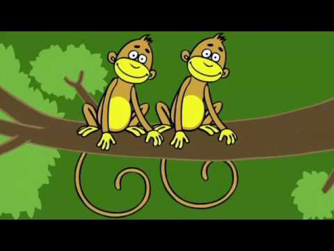 Aarne Alligaattori &  Viidakkorumpu