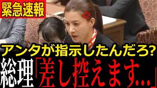 「手取り15万円」では子育て不可能！吉川里奈が高市総理に迫る「外国人より先に400万人の日本人」を軽視する移民政策【参政党】