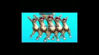 Download lagu Kelucuan Kucing Joget Membuat Dirimu Senyum Seharian #shorts mp3