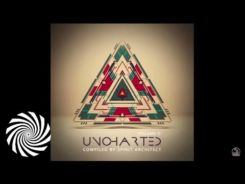 DigiCult vs DNA - Rite Of Passage (Space Tribe Remix)