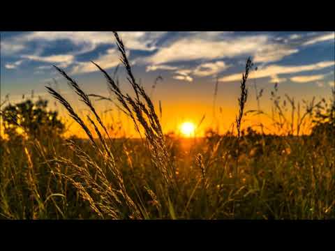 Sven Karlsson feat Jörgen Hallberg - Rewind