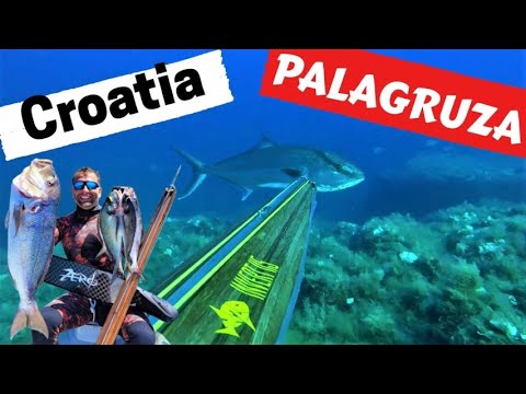 Palagruža - Spearfisherman's most wanted place