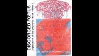 DISGORGED FŒTUS - Degradation Of The Lymphatic Tissue - Demo 1997