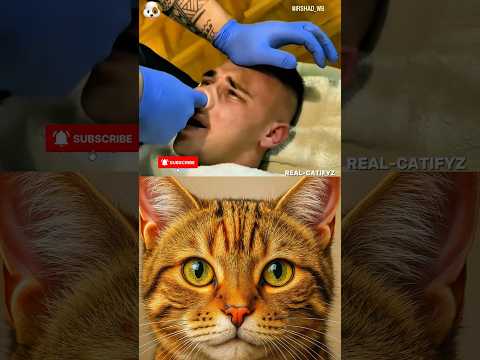 Aura cat funny #gunny #cat #dance