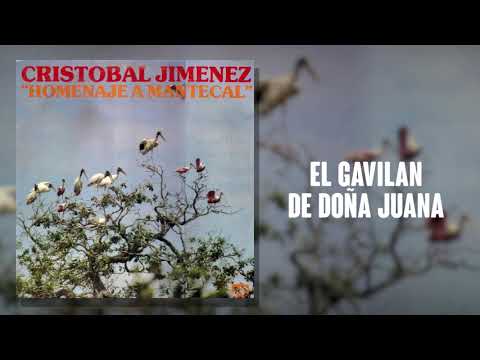 El Gavilán De Doña Juana - Cristóbal Jiménez | Cover Audio | Música Llanera