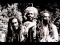 Israel Vibration - Why Worry