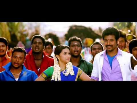 Kattikida   Kaaki Sattai   Official Video Song   Siva Karthikeyan,Sri Divya   Anirudh mp4