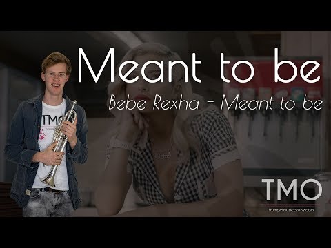 Bebe Rexha - Meant to be (TMO Cover)