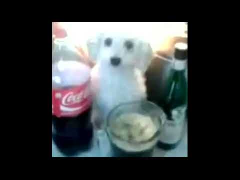 Lida GSPD - Евробит (nightcore) by strikkers