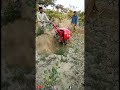 Tiller Machine گوڈی کرنے والی مشین Mini Tractor Tiller Tillermachine Tilling Diging 
