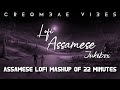 Assamese Lofi Mixtape-Assamese Mashup-Edm Mashup-Assamese Jukebox-Assamese EDM-22 Min. Of Lofi Songs