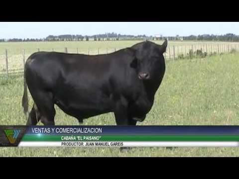 Cabañasbovinas.com - Visitamos a Cabaña El Paisano