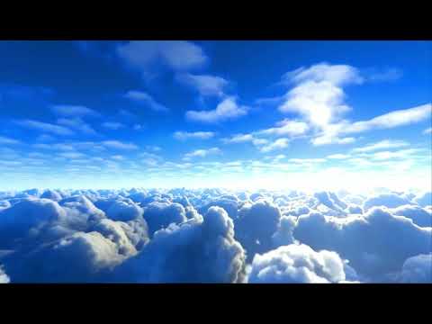 LA CALLE - Alejandro AT ft. Desneuronado, Niche Ls (Visualizer)