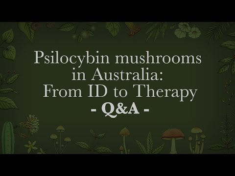 Psilocybin mushrooms in Australia From ID to Therapy - Q & A