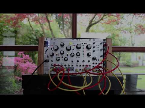 "colorful trees" ~ ambient eurorack modular // Mutable Instruments Plaits, Marbles, Clouds