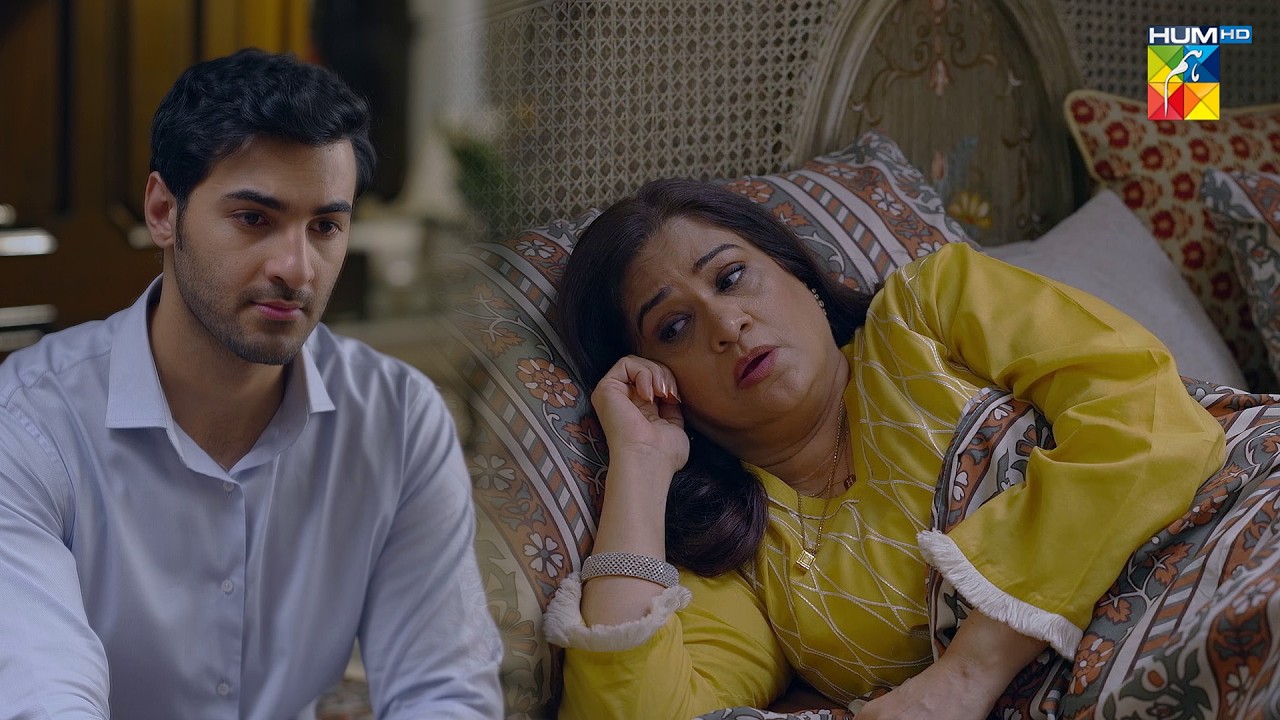 Ajj Ke Baad Tum Sameen Ke Ghar Nahi Jao Ge | #nabeelzuberi #minsamalik #Hadd #HUMTV