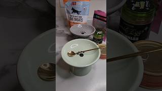 Feed my cats🍽 #asmr #asmrcat #catshorts #cat #catfood #catfeeding #cateating #cutecat #youtube #fypシ