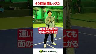 【忙しい人向けテニスレッスン】速いボールに負けてボレー出来ない人のための動画〈ぬいさんぽテニス（Tennis）〉 #テニス #テニスレッスン #tennis #ぬいさんぽ