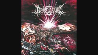 Demoniciduth - Blood Sacrifice (Mortification Cover)