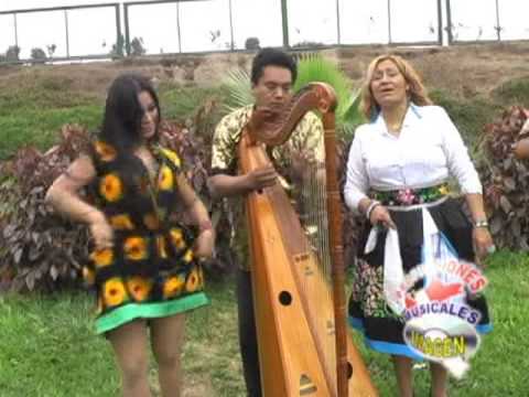 GIRASOL DEL PERU - CHACAS PLAZA ICHU ICHU