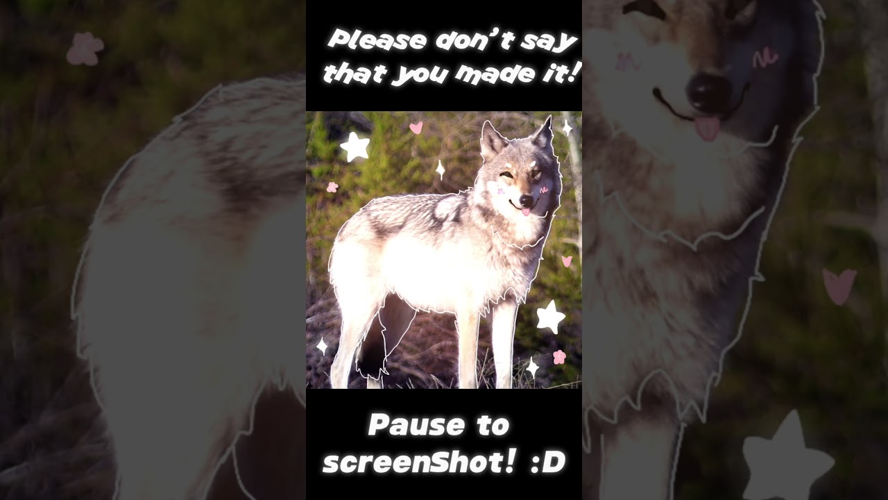 Free therian pfp! Part 1 || Wolf || please don’t say you made the pfp #therian #therianthropy #pfp