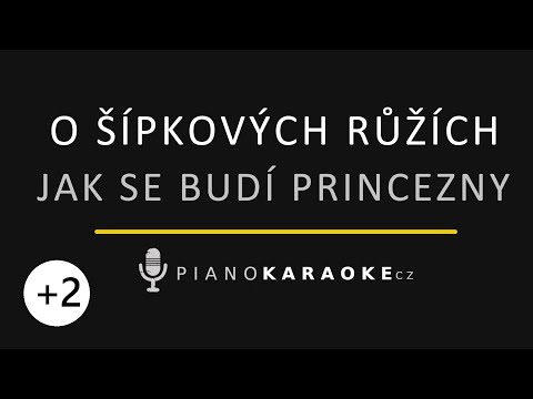 Jak se budí princezny - O šípkových růžích (Vyšší tónina) | Piano Karaoke Instrumental
