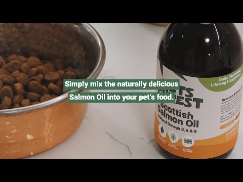 salmon oil for dogs Video Preview