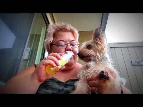 Lemongrass House, todos os produtos naturais de spa (revisão)