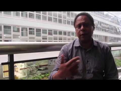 "Mão de obra estrangeira contribui para fomento da economia brasileira", diz relator