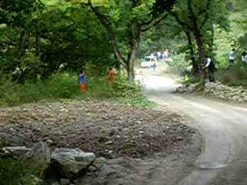 RallyLengend-Antonio orsolin-incidente