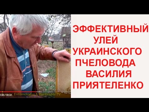 Эффективные Инновационные Ульи Украинского Пчеловода Василия Приятеленко 06.11.2016 (ПОЛНОЕ)