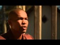 Davy Sicard - Papillon