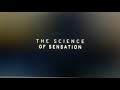 THX The Science Of Sensation Full Screen Logos NTSC And PAL Versions