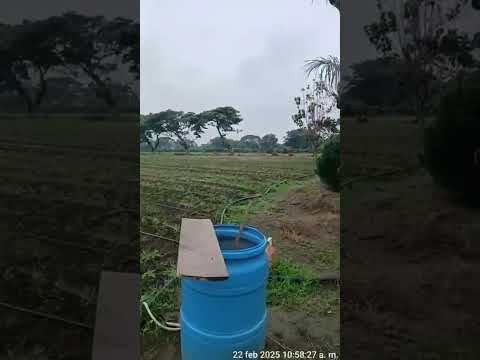 Lotes, Venta, Palmira - $550.000.000