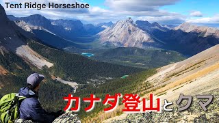 カナダで縦走。尾根から360℃のロッキービューとクマとの出会い / Hiking through multiple peaks along with ridge & mom bear and cub