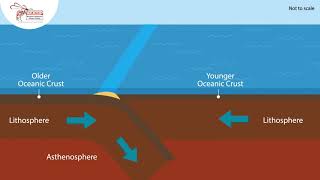 Convergence (oceanic crust)