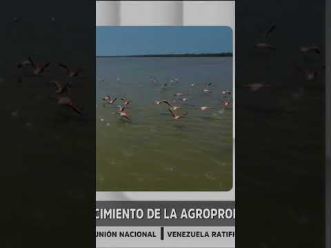 #venezuela #noticias #hoy #anzoategui #produccion