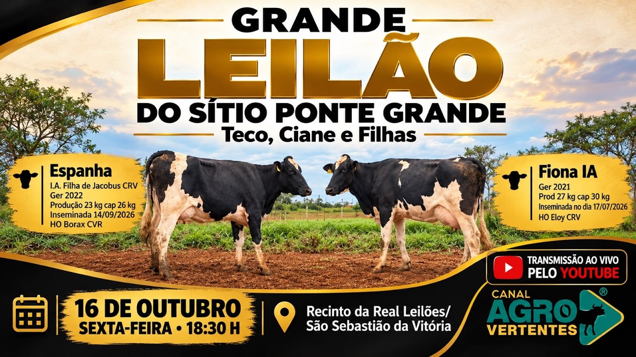 GRANDE LEILÃO SÍTIO PONTE GRANDE - TECO, CIANE E FILHAS - SÃO JOÃO DEL REI/MG - 16/09/2026