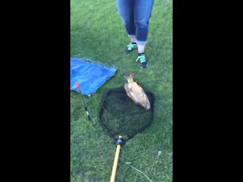 Wife does the carp dance!