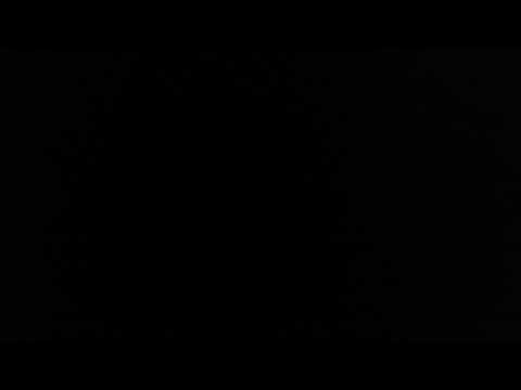 Twerk twerk donald trumps butt