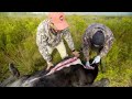 How To Field Dress A Moose