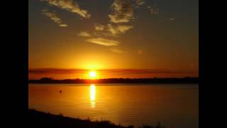 Wumpscut - Scavenger